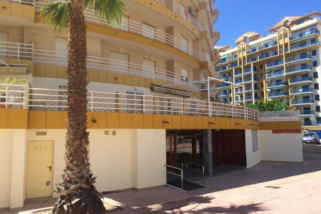 Apartamento Playa Gandía, gran terraza, wifi, piscina, parking Playa de Gandía Exterior foto